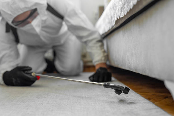 Professional Cockroach Control technician working in Haw River, NC